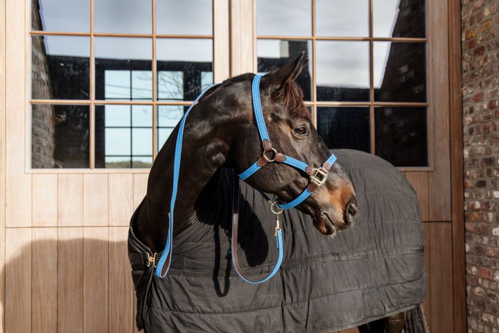 KENTUCKY® HORSEWEAR geflochtenes Nylon Halfter, light blue