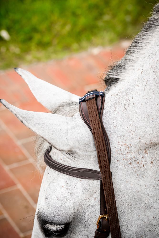 HORSEWARE® Micklem® 2 Multi Bridle, dark havana 