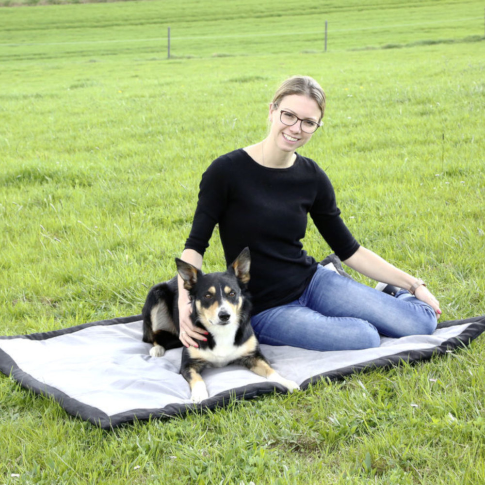 Hundedecke Trip