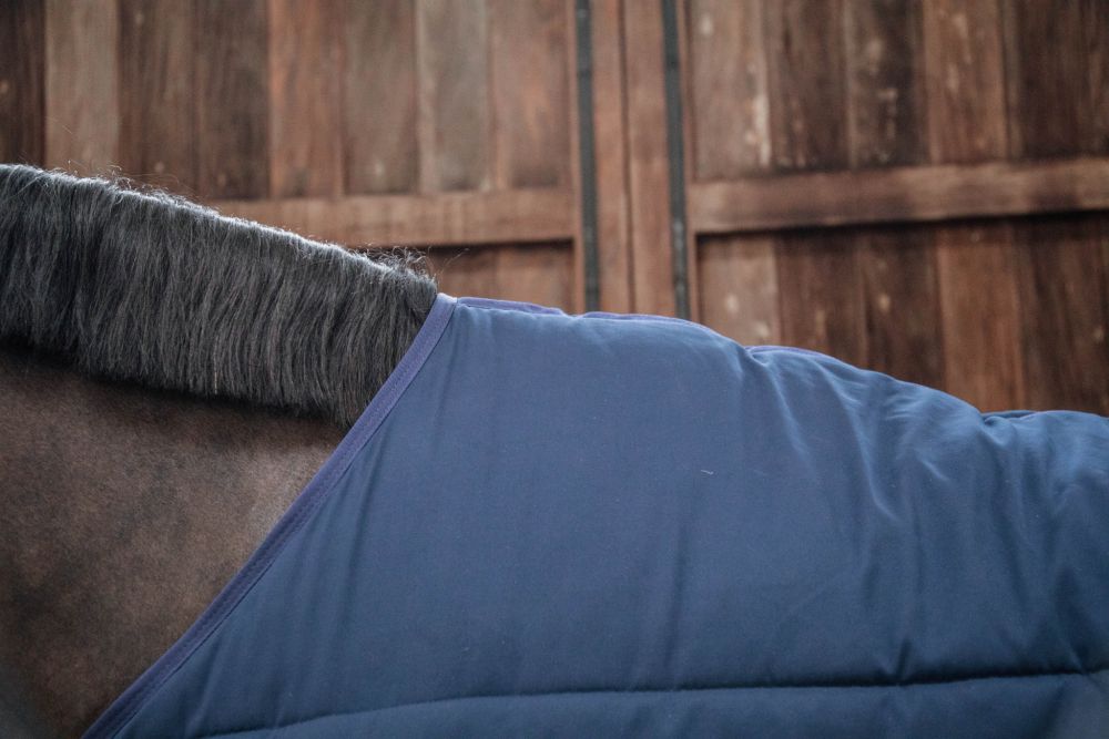 KENTUCKY® HORSEWEAR Unterdecke Classic 100 g