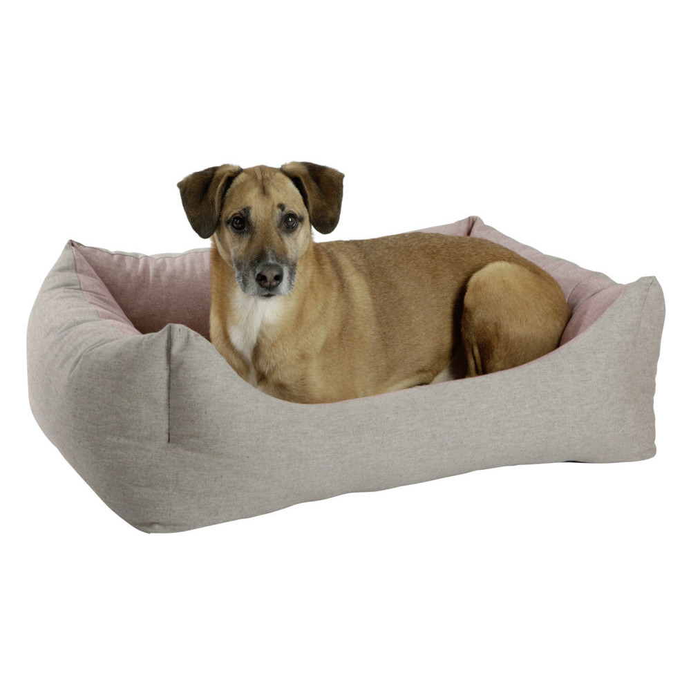 Kuschelbett Golden