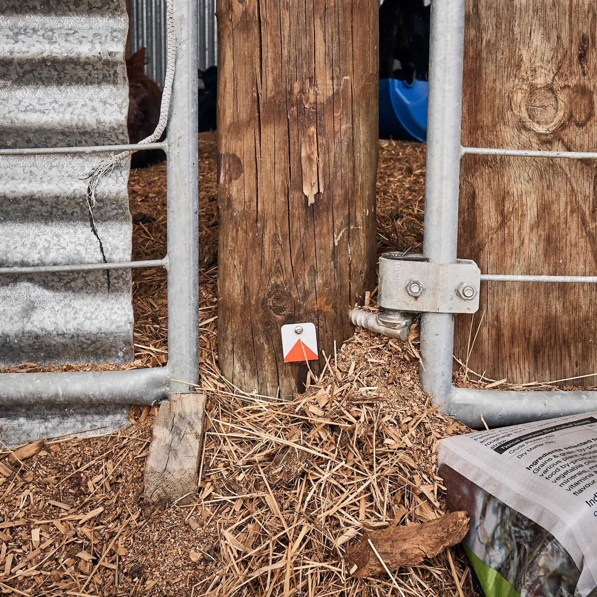 GOODNATURE® Nagetiererkennungskartenset mit Lockstoff im 25er-Pack