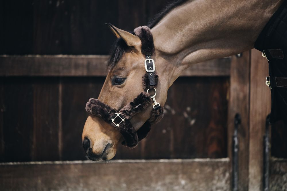KENTUCKY® HORSEWEAR Lammfell Transport-Halfter, braun