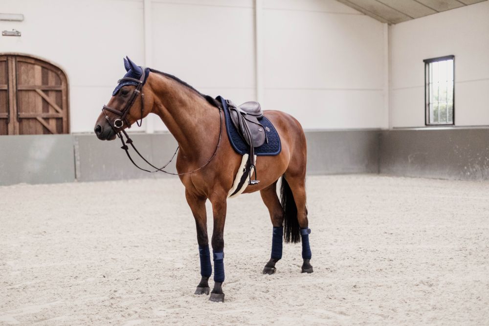 KENTUCKY® HORSEWEAR Schabracke mit Glitzereinfassung Springen, marine