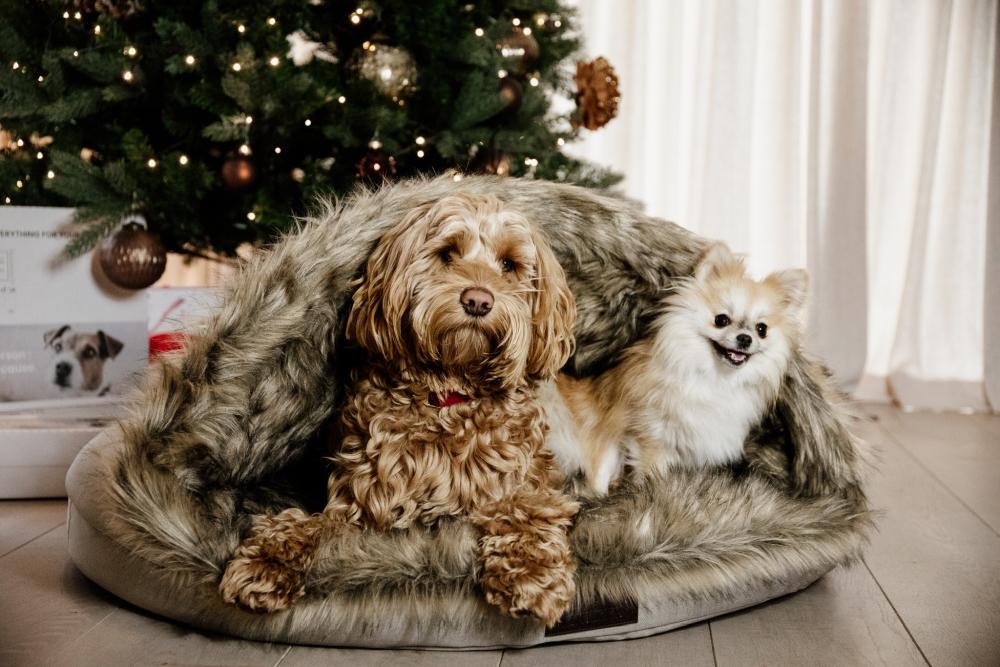 KENTUCKY® DOGWEAR Hundebett Iglu, braun