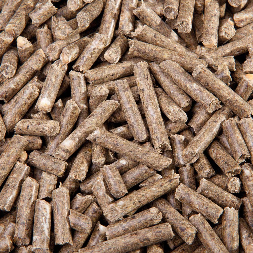 EGGERSMANN HORSE & PONY VOLLKORN PELLETS (6 mm) 