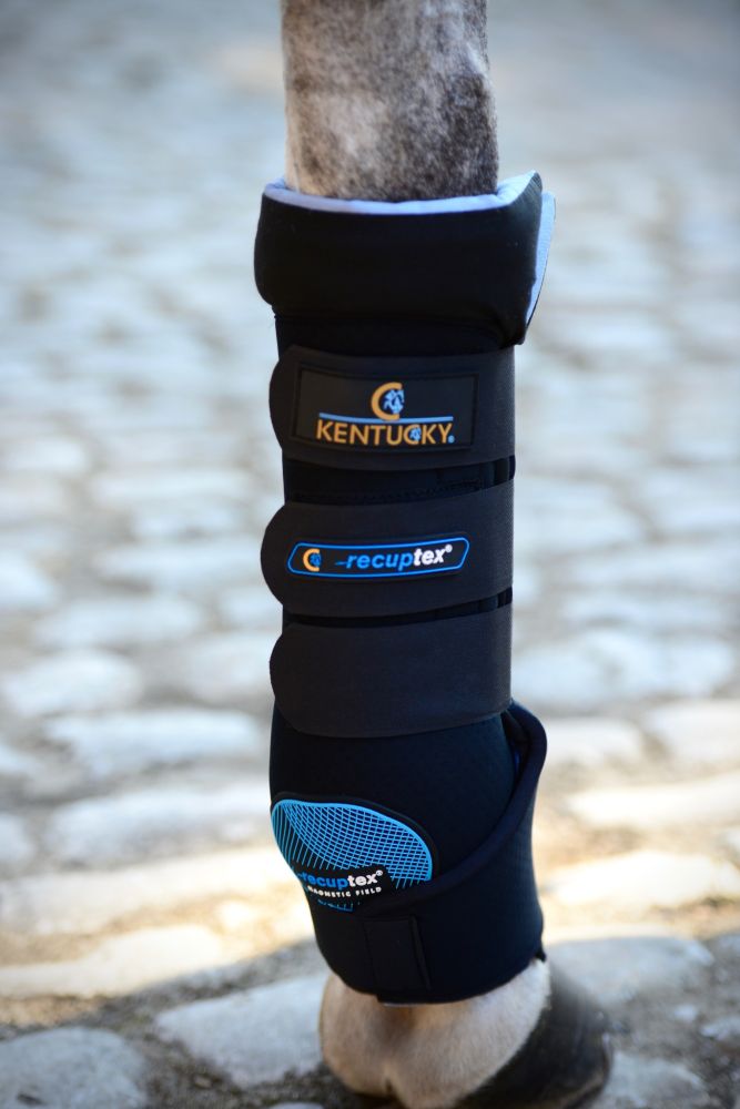 KENTUCKY® HORSEWEAR Magnetic Recuptex Stallgamasche