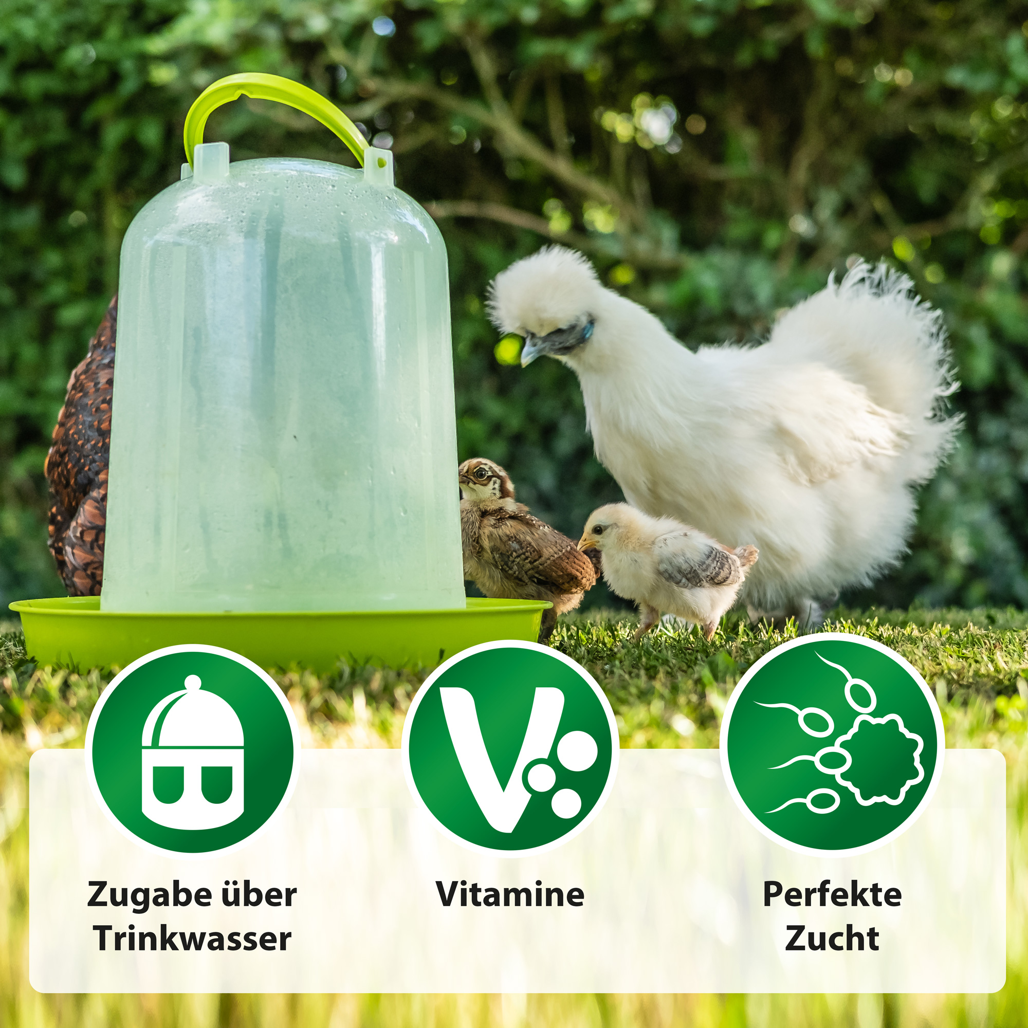 RÖHNFRIED® Vitamin ADEC