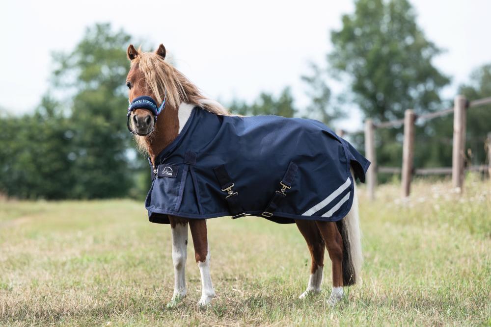 HKM Weidedecke Mini - 600D, dunkelblau Ein kleines braunes Pony mit der dunkelblauen HKM Weidecke Mini steht seitlich auf einer grünen Sommerweide.
