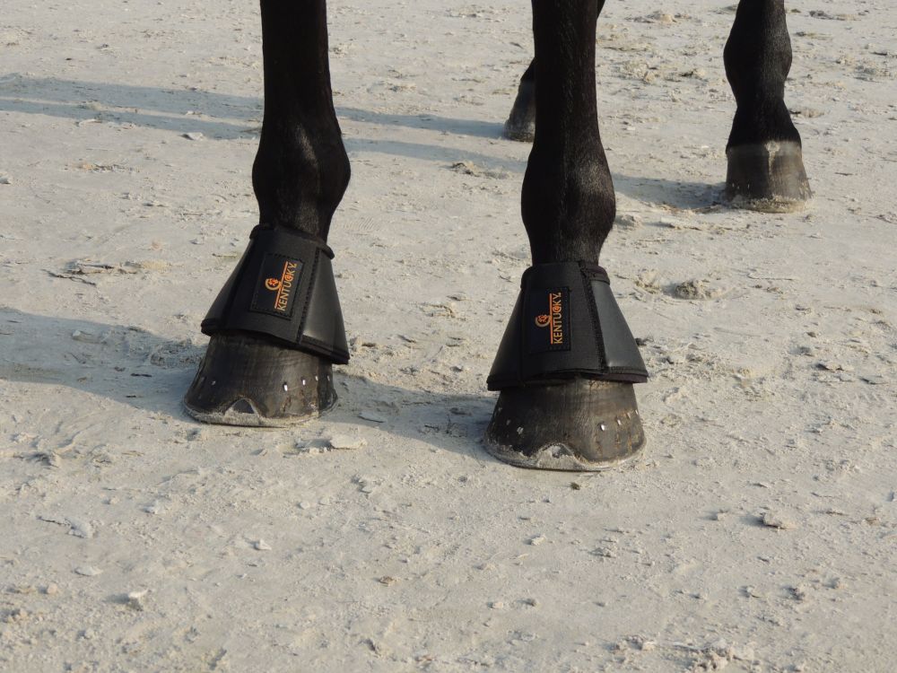 KENTUCKY® HORSEWEAR Hufglocken Leder