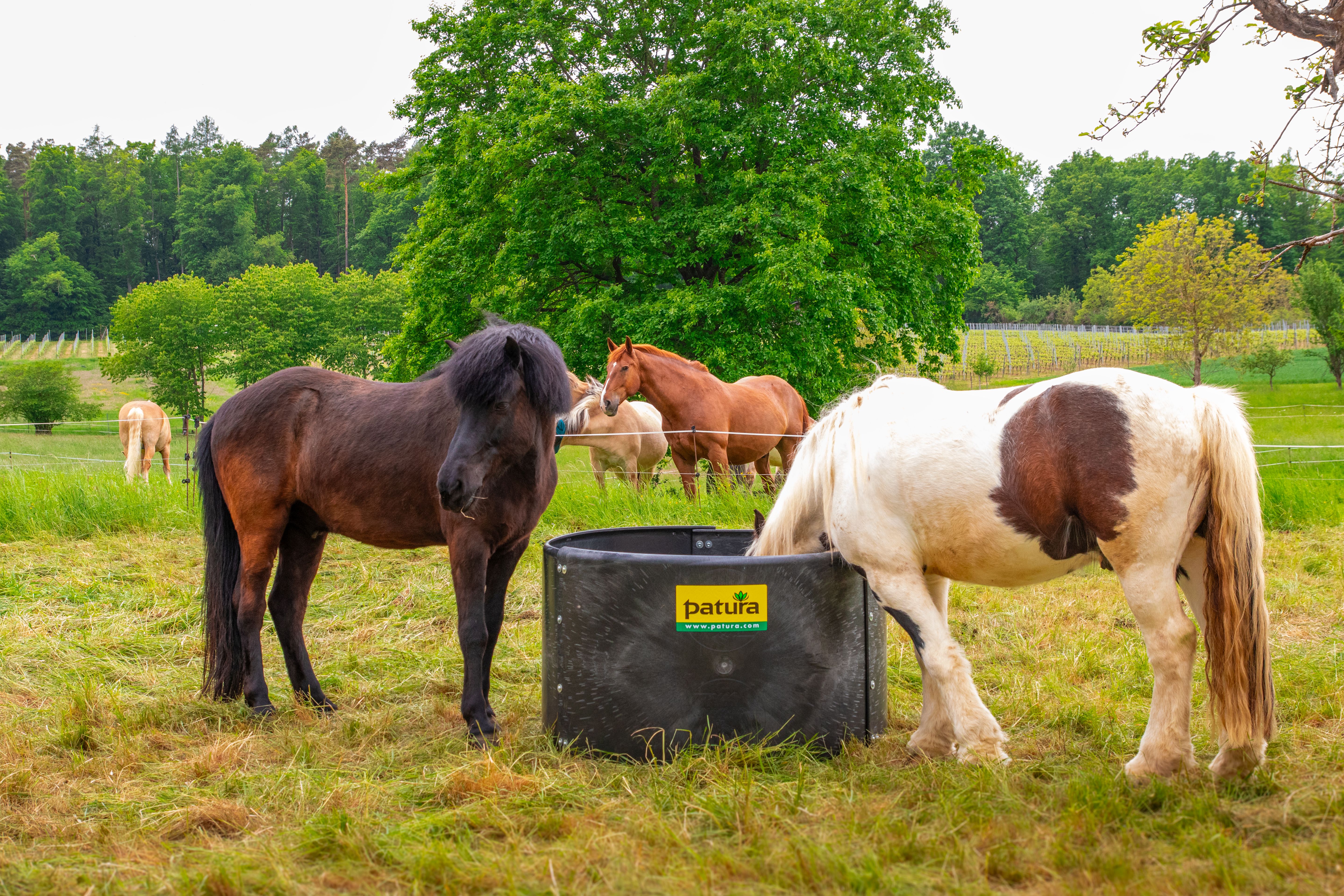 PATURA Kunststoff-Futterring Slow-Feeder