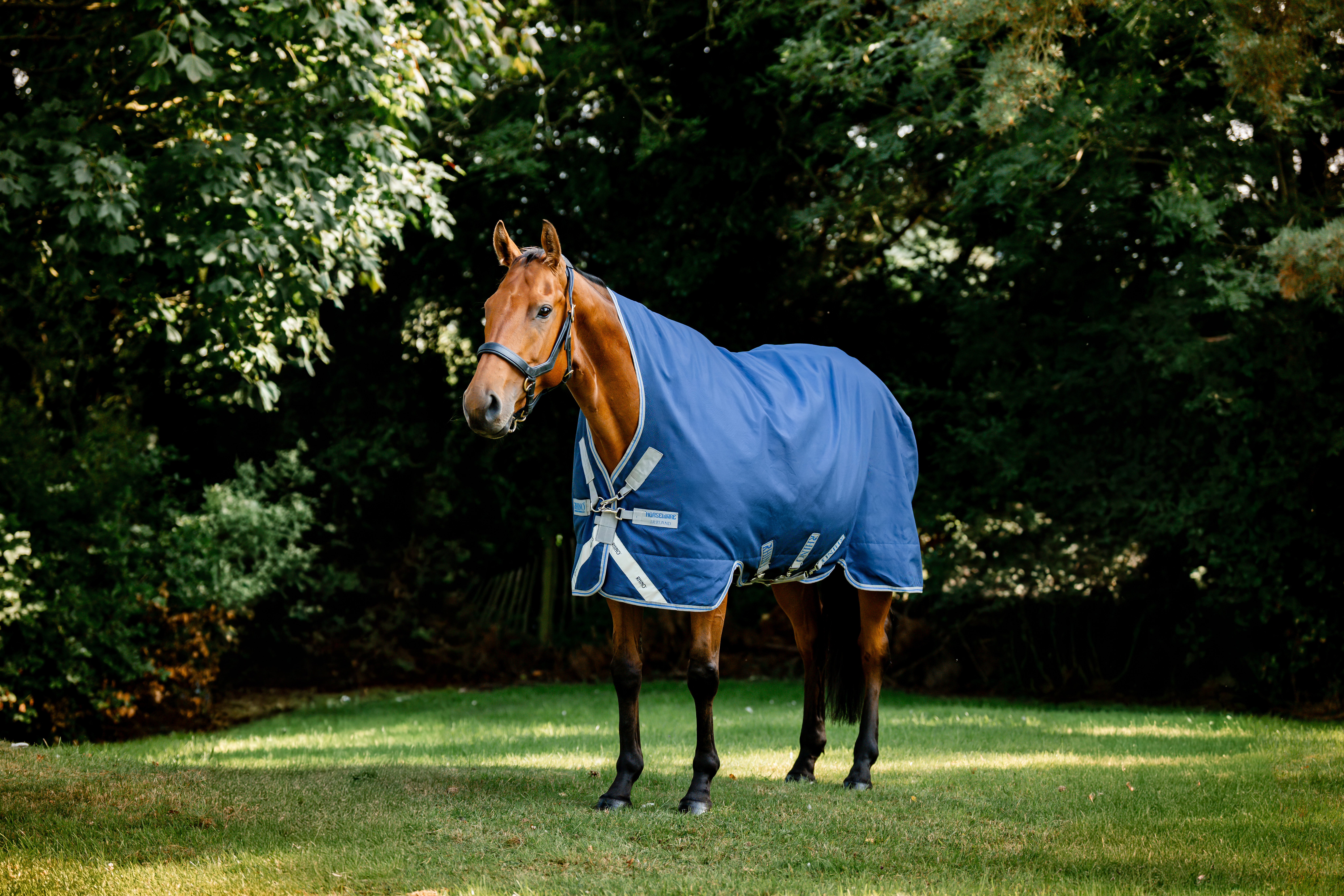 HORSEWARE® Rhino® Wug Turnout, 100 g, navy/titanium 