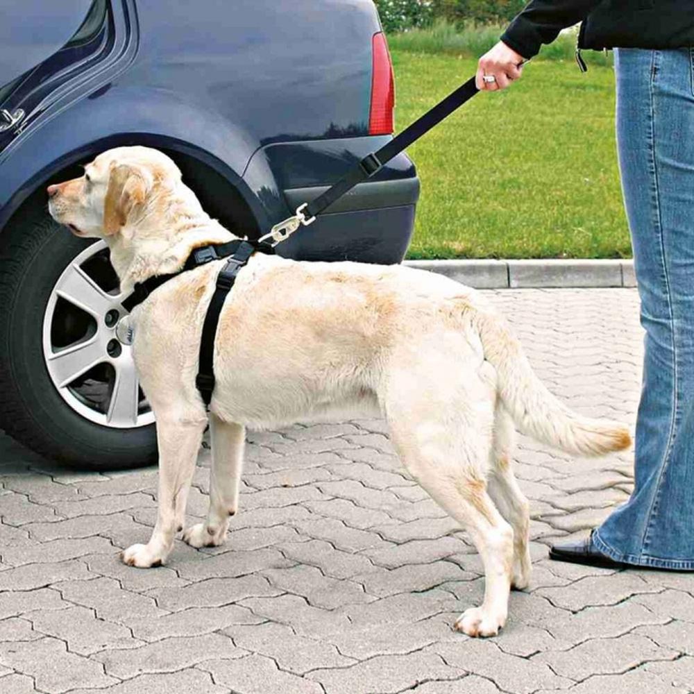 TRIXIE Auto-Sicherheitsgeschirr