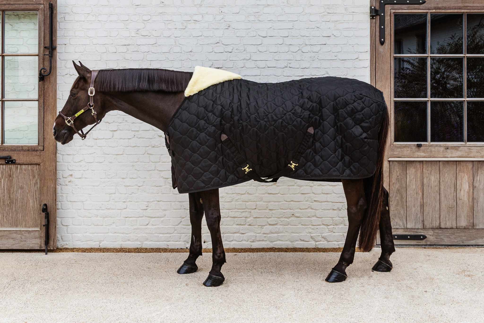 Schwarze, gesteppte Stalldecke Comfort mit weichem, hellem Widerristpolster, an einem Pferd in der Seitenansicht.