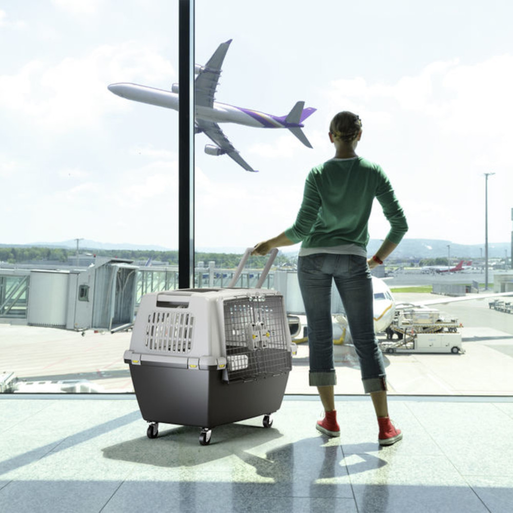 Gulliver Touring IATA