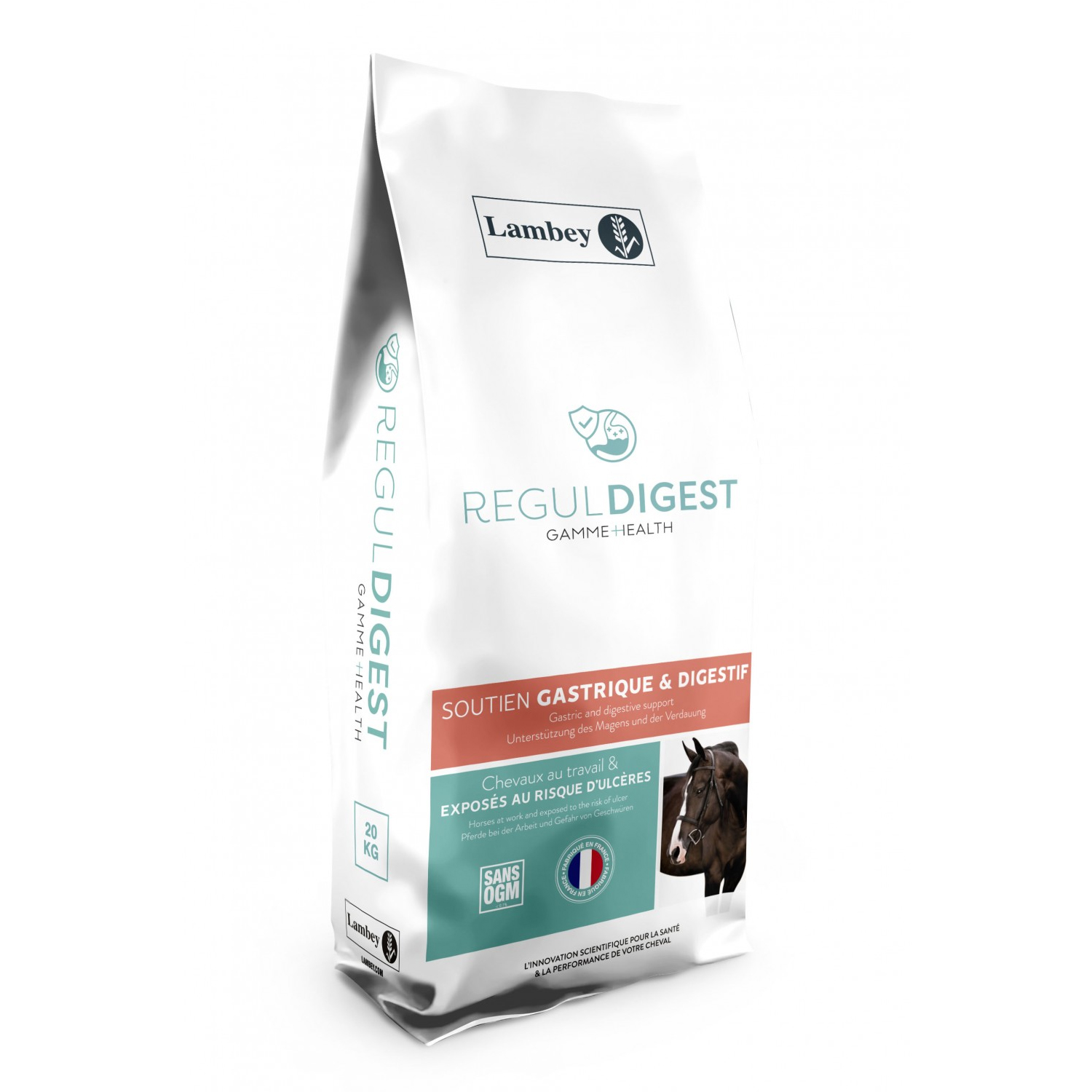 LAMBEY REGUL DIGEST