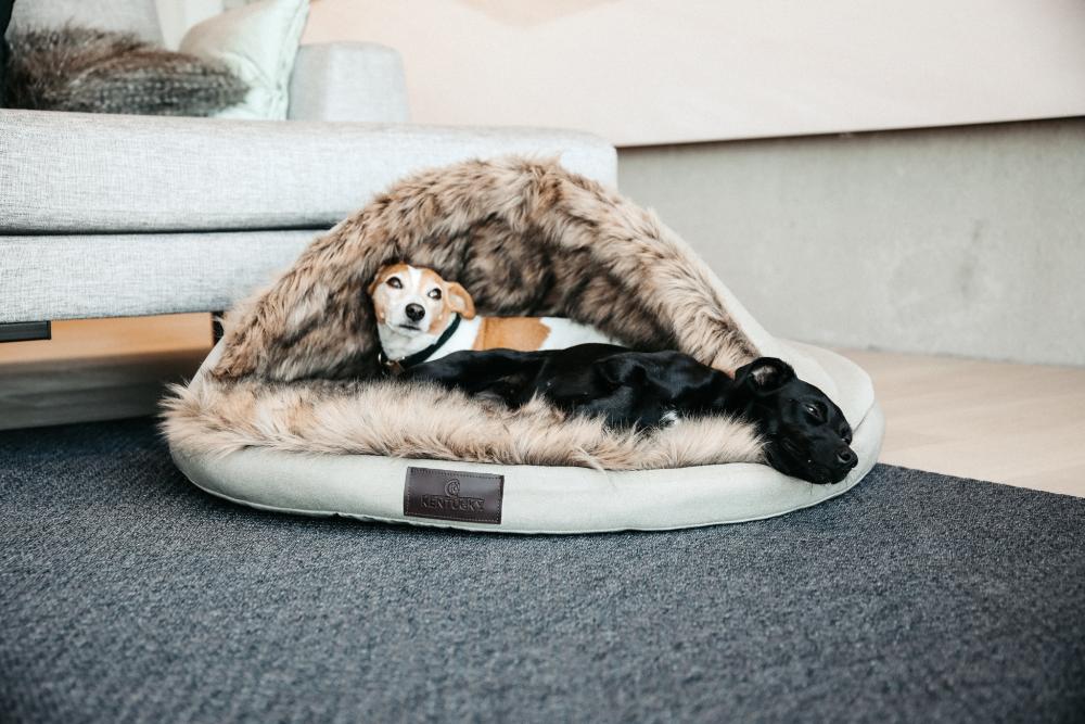 KENTUCKY® DOGWEAR Hundebett Iglu, braun