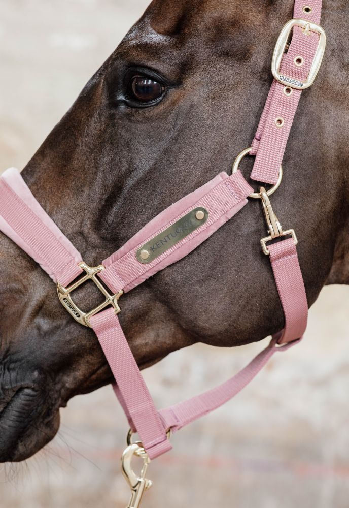 KENTUCKY® HORSEWEAR Velvet Halfter, altrosa