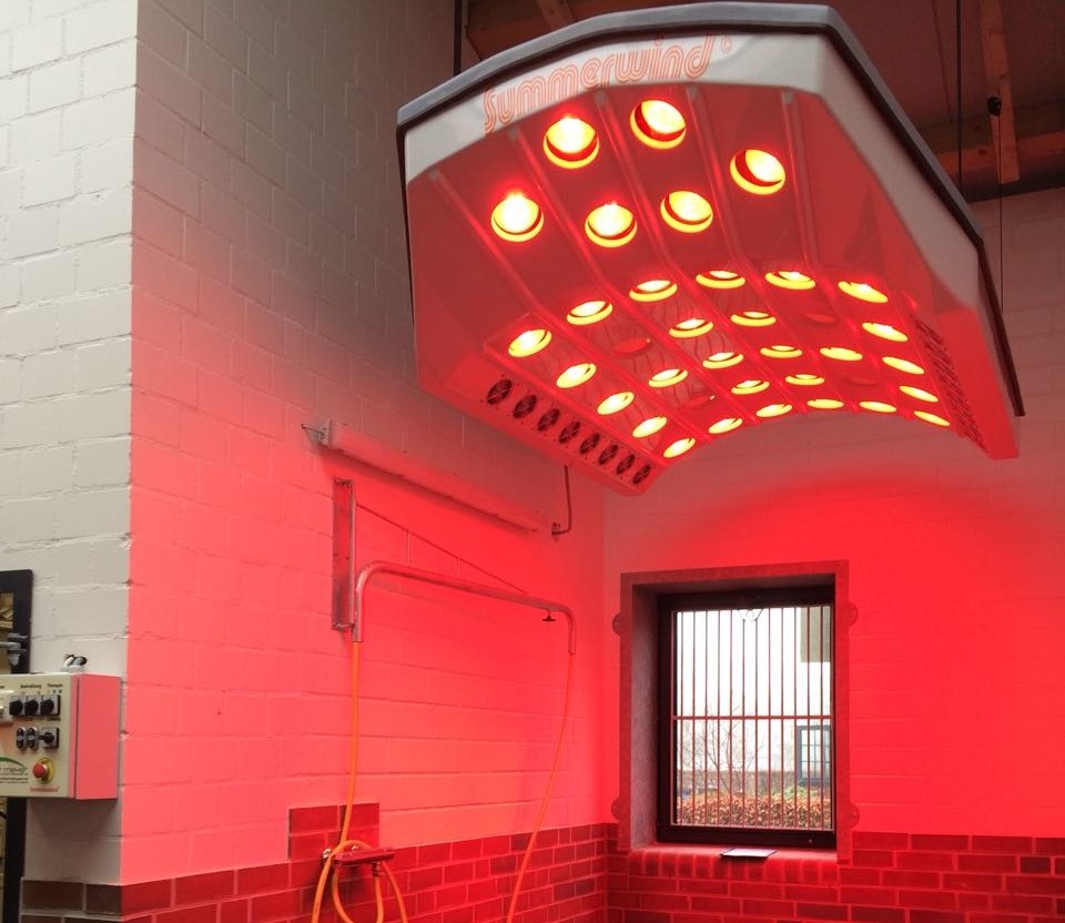 SUMMERWIND Pferdesolarium Premium SUMMERWIND Pferdesolarium Premium mit leuchtenden roten Infrarotlampen in einem Pferdestall montiert.