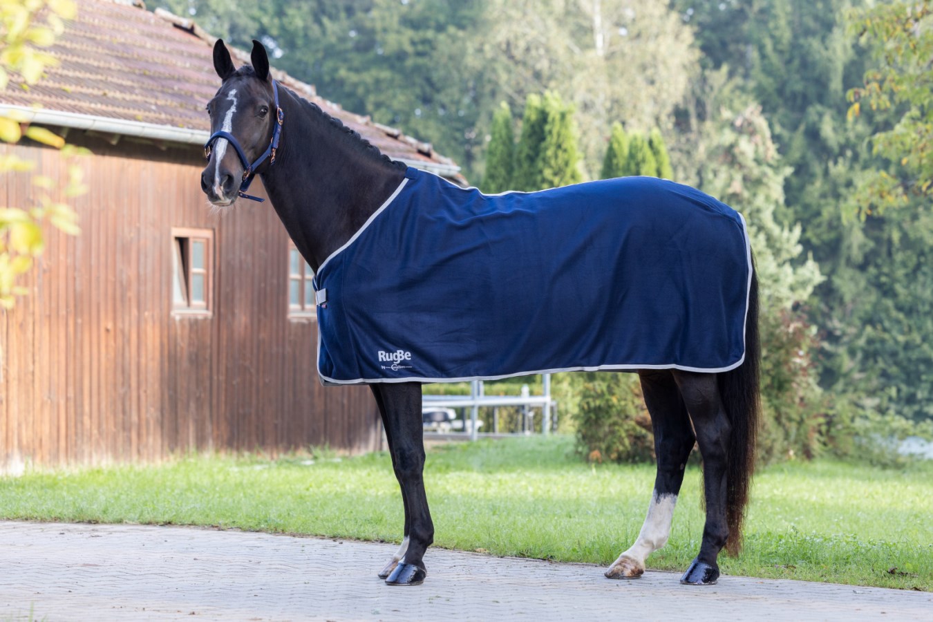 Ein dunkles Pferd trägt die marineblaue Kerbl RugBe Fleecedecke Economic. Seitenansicht der Decke im Freien.
