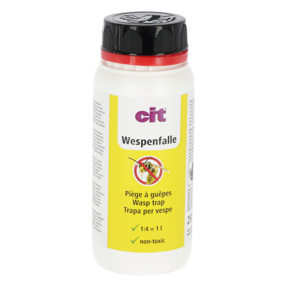 cit Wespenfalle