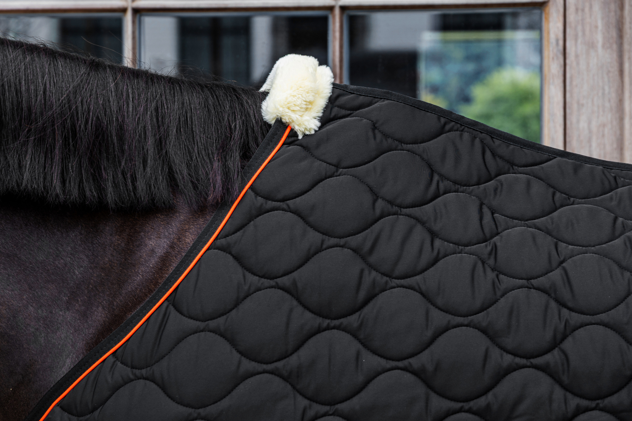 KENTUCKY® HORSEWEAR Stalldecke Wave 160g, schwarz Schwarze Stalldecke Wave mit Wellensteppung und weichem Widerristpolster aus Kunstfell in der Detailansicht am Pferd.
