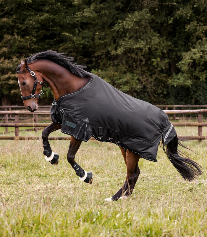 WALDHAUSEN SCANDIC Multi-Layer Outdoordecke, 250 g / 100 g, schwarz Ein braunes Pferd in Bewegung trägt die schwarze SCANDIC MultiLayer Outdoordecke auf einer grünen Koppel.