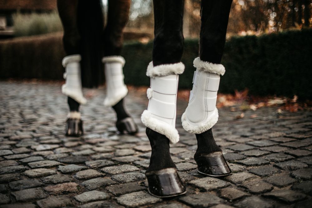 KENTUCKY® HORSEWEAR Arbeitsgamasche Air, weiß