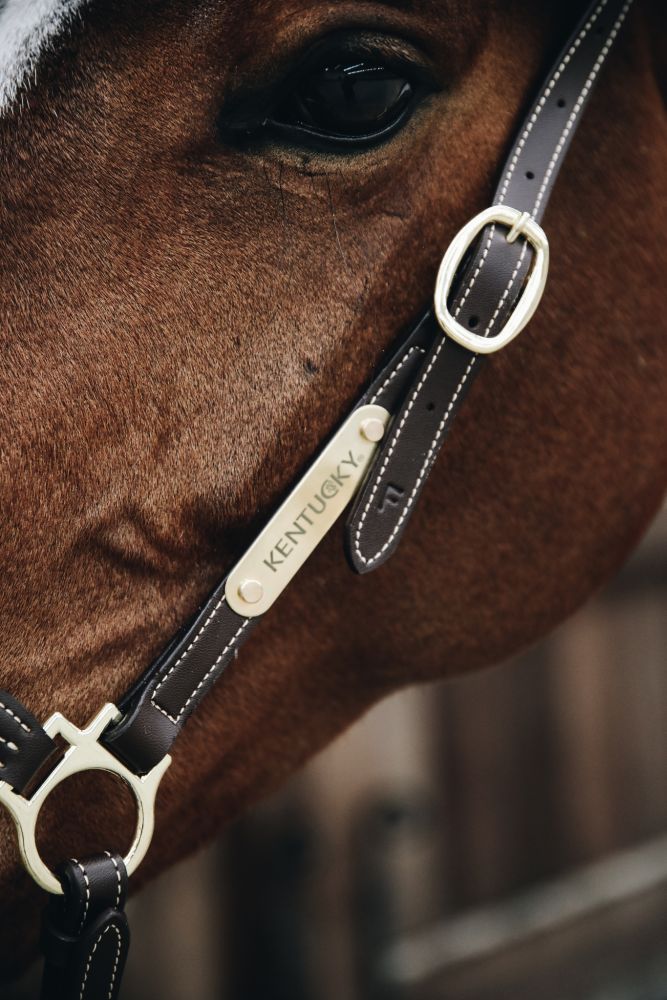 KENTUCKY® HORSEWEAR Leder Stallhalfter