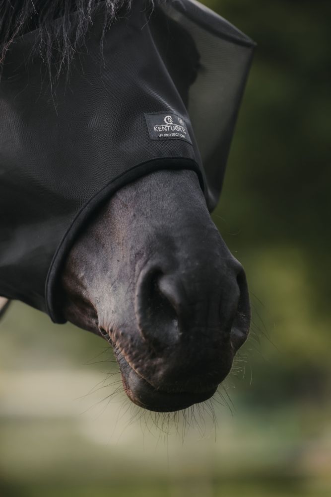 KENTUCKY® HORSEWEAR Fliegenmaske Classic ohne Ohren, schwarz
