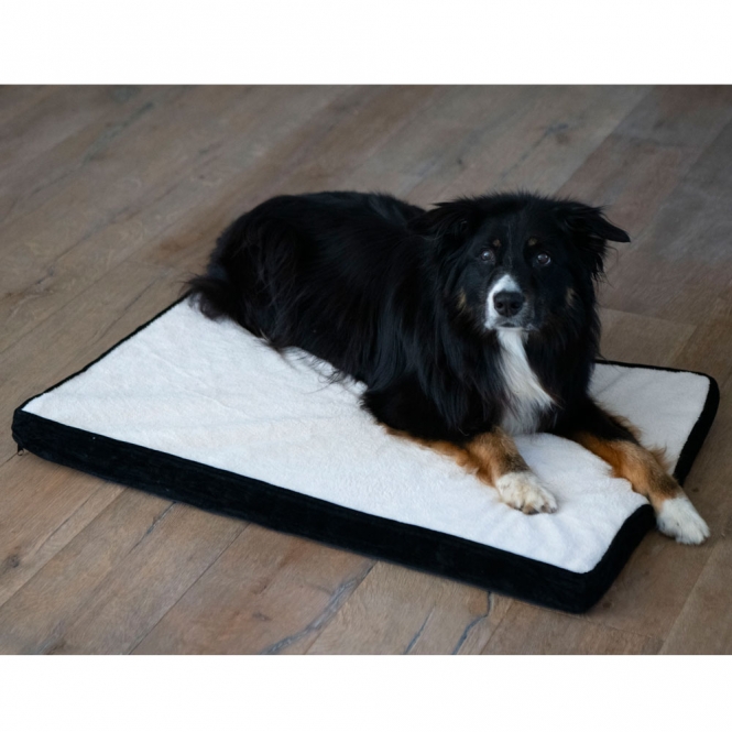 Procyon Hundematte
