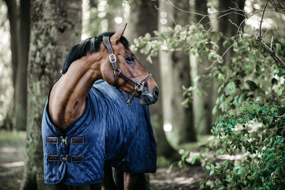KENTUCKY® HORSEWEAR Stalldecke 0 g, marine