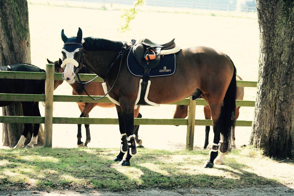 KENTUCKY® HORSEWEAR Stollengurt mit Schaffell, schwarz