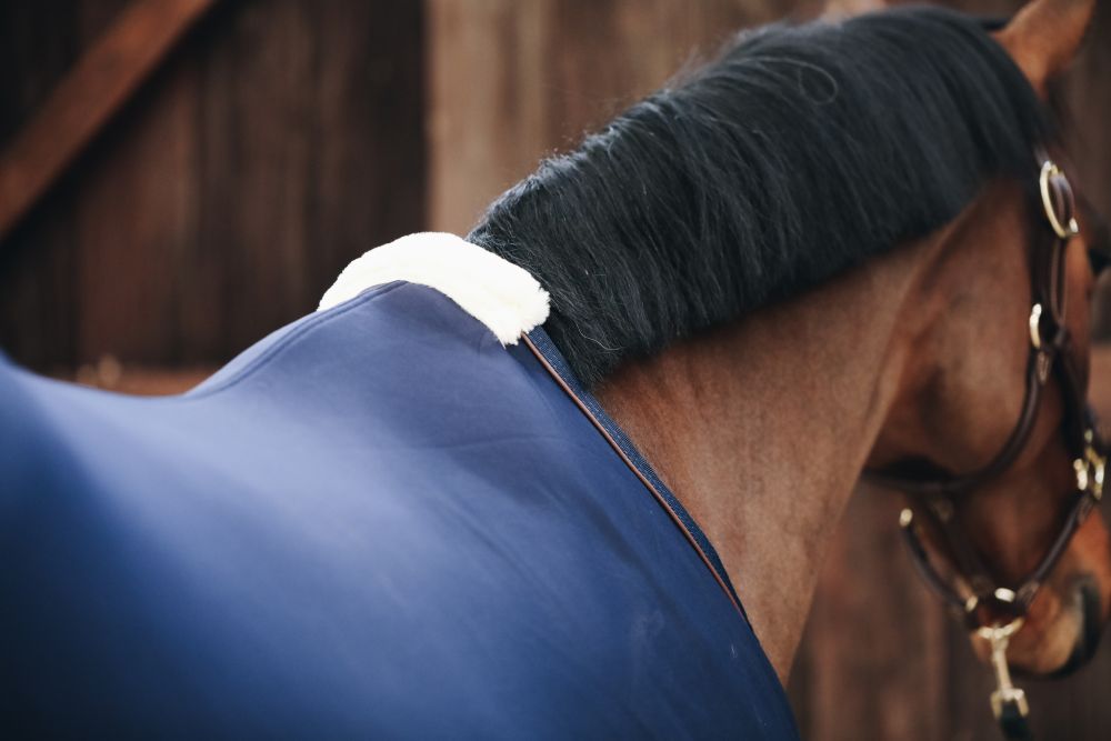 KENTUCKY® HORSEWEAR Abschwitzdecke Fleece, marine