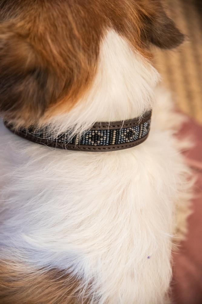 KENTUCKY® DOGWEAR Hundehalsband Pearls, silber