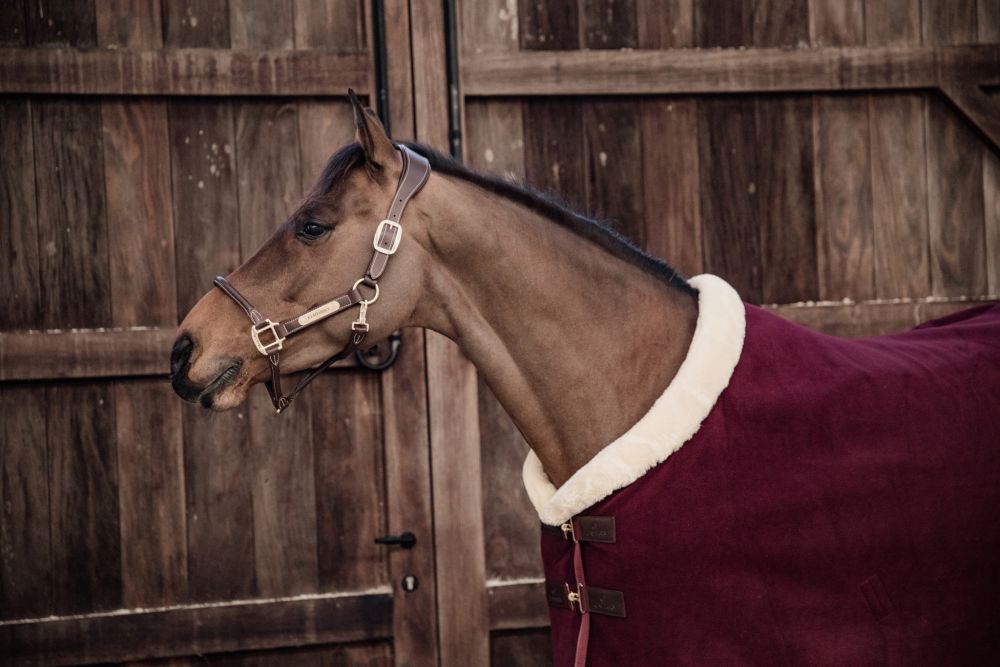 KENTUCKY® HORSEWEAR Turnierabschwitzdecke Heavy Fleece, bordeaux