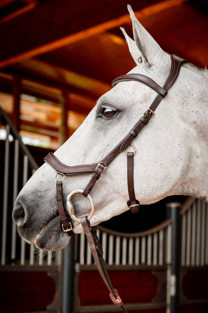 HORSEWARE® Micklem® 2 Competition Bridle, dark havana
