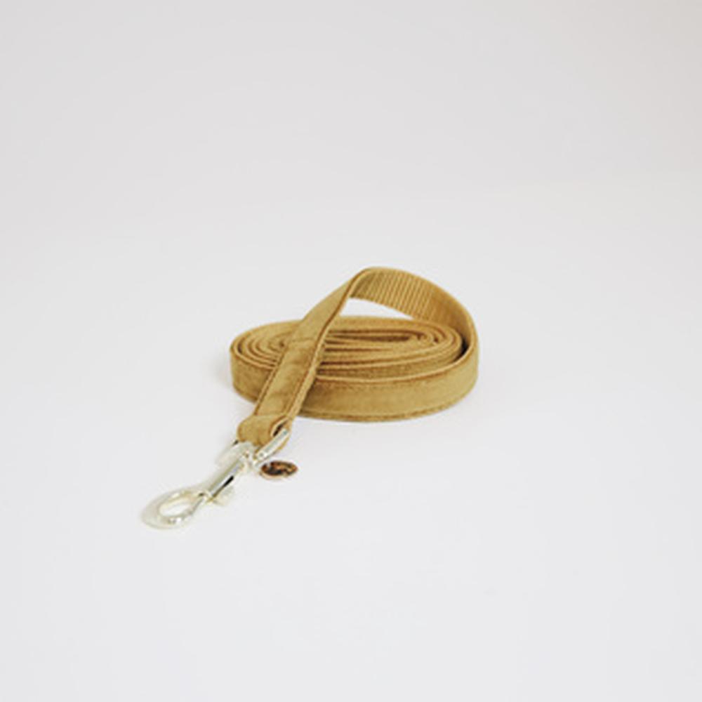 KENTUCKY® DOGWEAR Hundeleine Samt 120 cm, senfgelb