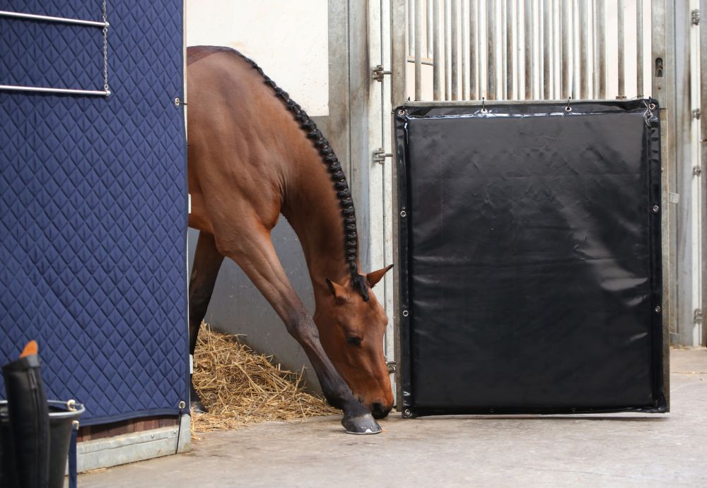 KENTUCKY® HORSEWEAR Kick Pad