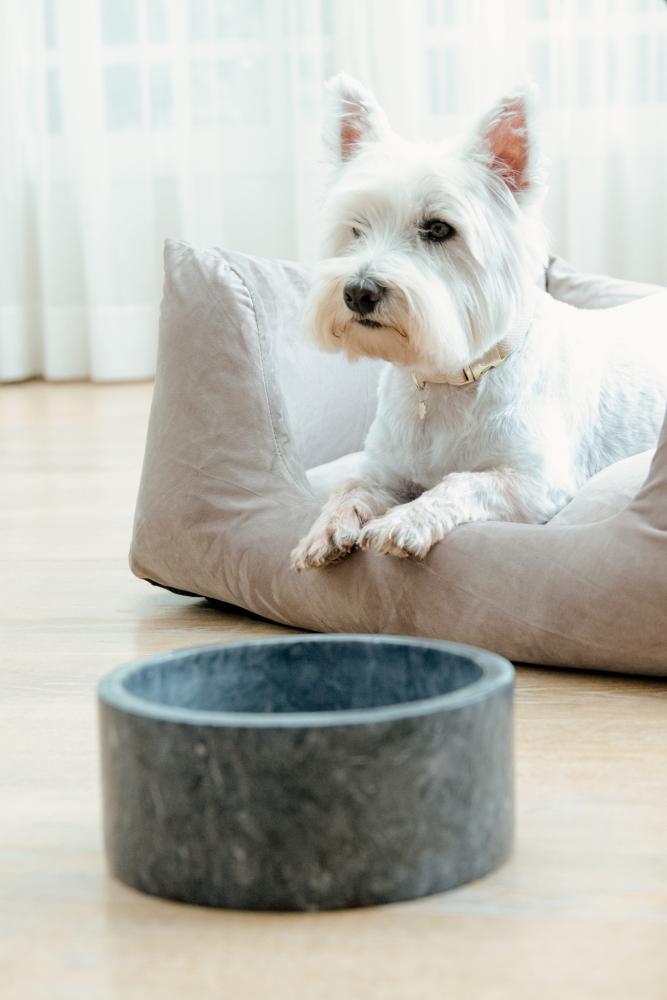 KENTUCKY® DOGWEAR Hundenapf aus Marmor, schwarz