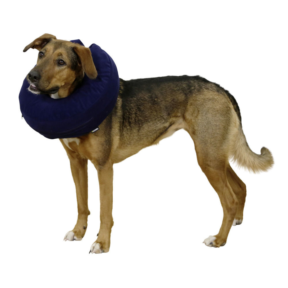 Hunde-Halskrause