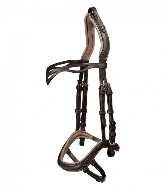 Island Trensenzaum Anatomic