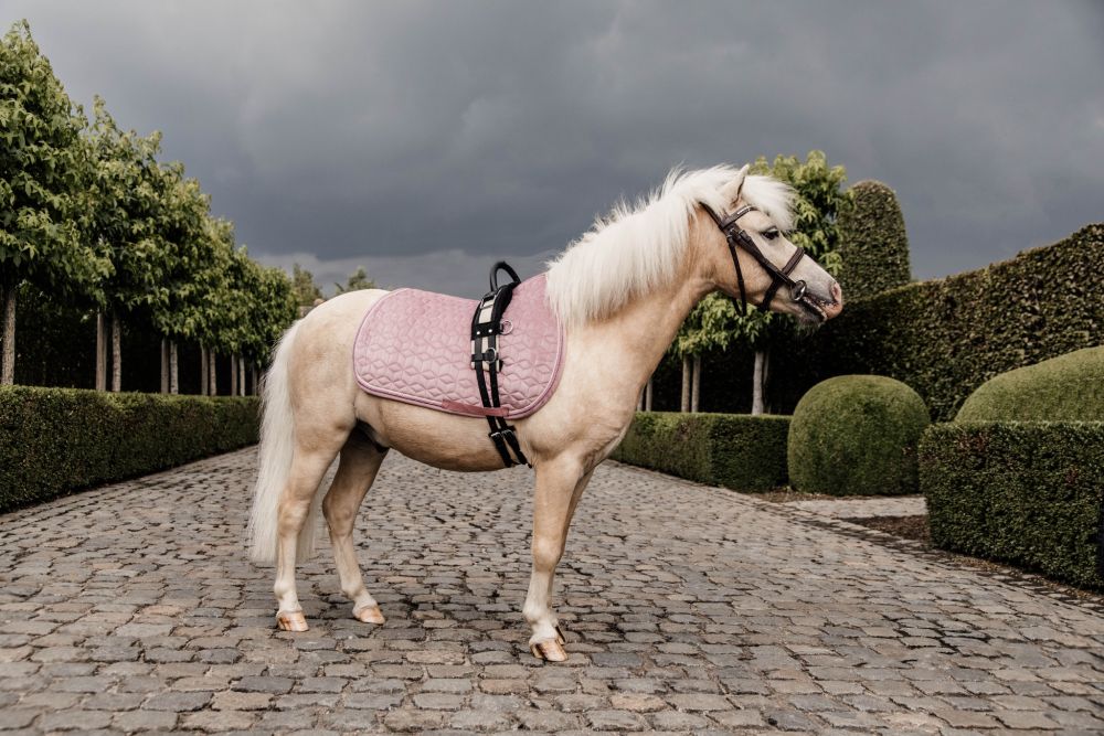 KENTUCKY® HORSEWEAR Pony-Schabracke Velvet Springen, altrosa