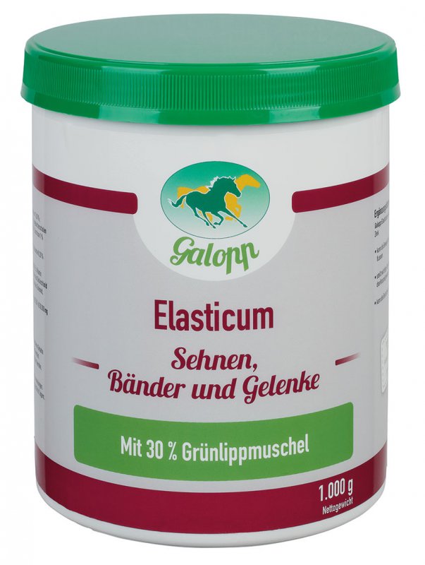 GALOPP Elasticum