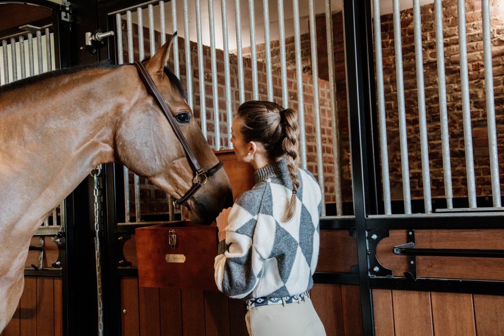 KENTUCKY® HORSEWEAR Leder Stallhalfter