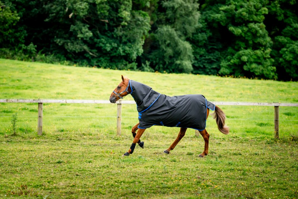 HORSEWARE® Amigo® Ripstop 900 Plus, 100 g, back/classic blue
