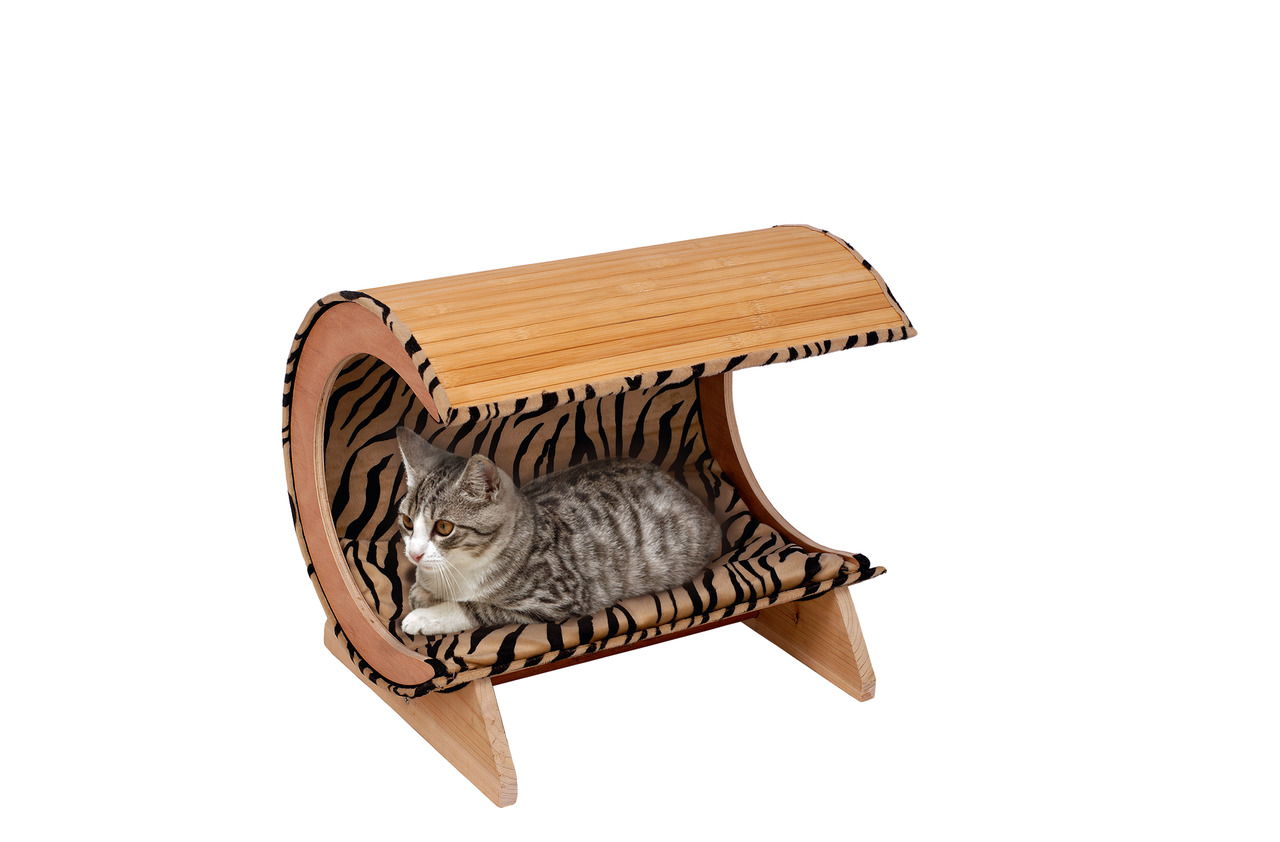 Kitty Bamboo 1