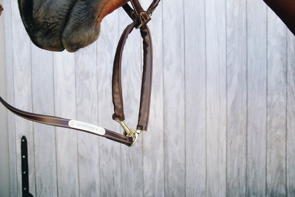 KENTUCKY® HORSEWEAR Führleine