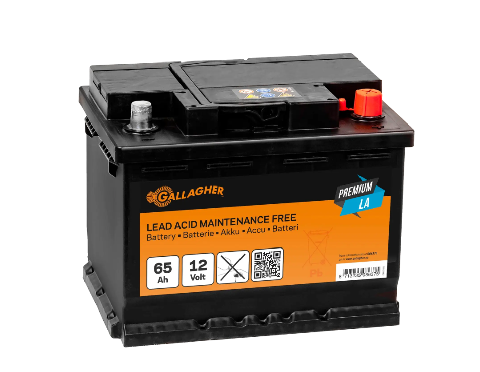 GALLAGHER Weidezaunakku 12 V/65 Ah Premium LA - 242 x 175 x 190