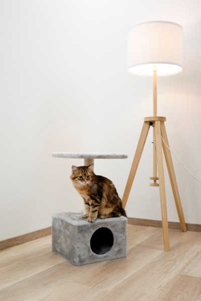 KERBL Kratzbaum Amethyst, Höhe: 57 cm, grau